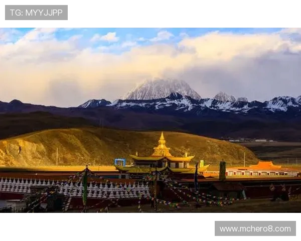 竞彩足球中奖飘花揭秘助你掌握运气与策略相融之道全景洞察新篇章