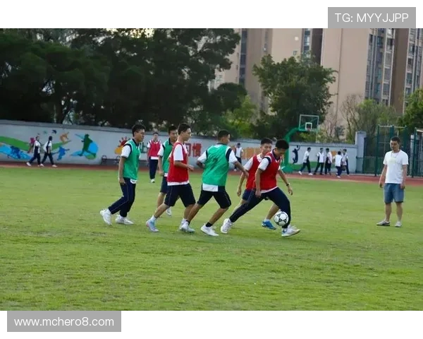 青春奔跑在绿茵梦想起航足球内场志愿者的热血与担当